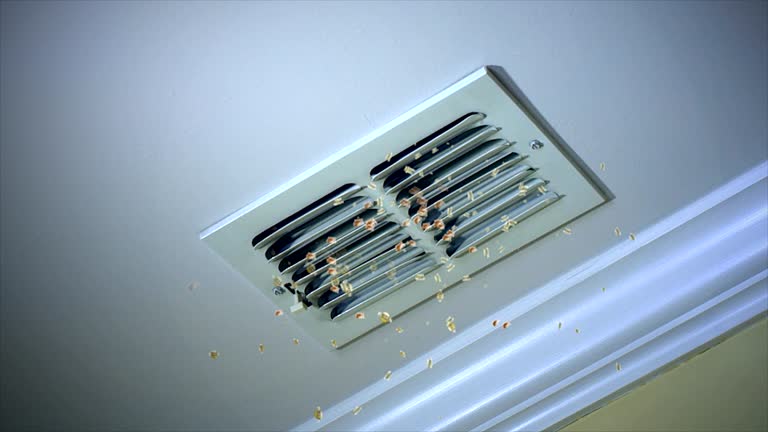 Best Home Air Vent Cleaning  in Brookdale, NJ